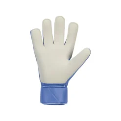 Guantes Nike Nk Gk Match - Ho24