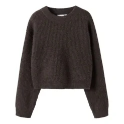 Jerseys Name-it N.U. Nkfholly Ls Boxy Short Knit Noos
