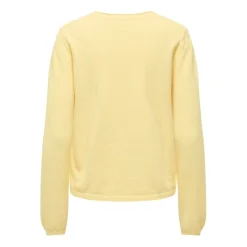 Jerseys Only Onlloyal Life Ls V-Neck Pullo Knt Noos