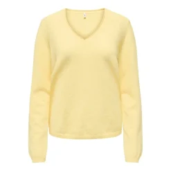 Jerseys Only Onlloyal Life Ls V-Neck Pullo Knt Noos