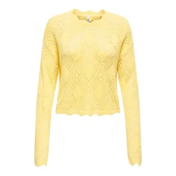 Jerseys Only Onlpamela Ls Struct Pullover Cc Knt