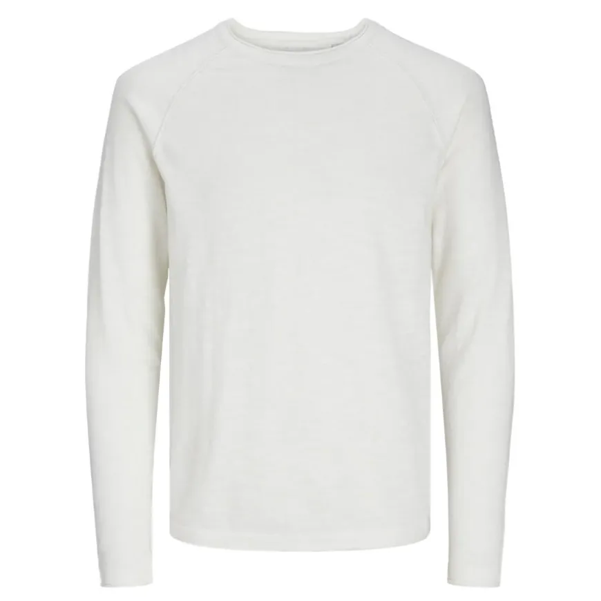 Jerseys Jack & jones Jjebreeze Knit Crew Neck Sn