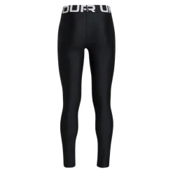 Mallas largas Under armour Hg Legging