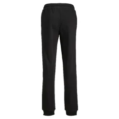 Pantalones chándal Jack & jones Jpstgordon Jjwarrior Sweat Pants I Jnr