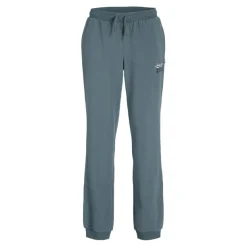 Pantalones chándal Jack & jones N.U. Jpstelogo Sweatpants 2Col 25 26 Noos Jnr