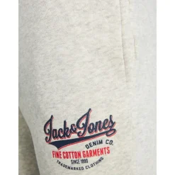 Pantalones chándal Jack & jones B2S Jpstlogo Sweat Pants 2 Col 21 22 Ln Jnr