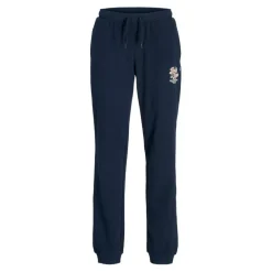 Pantalones chándal Jack & jones N.U. Jpstelogo Sweatpants 2Col 25 26 Noos Jnr