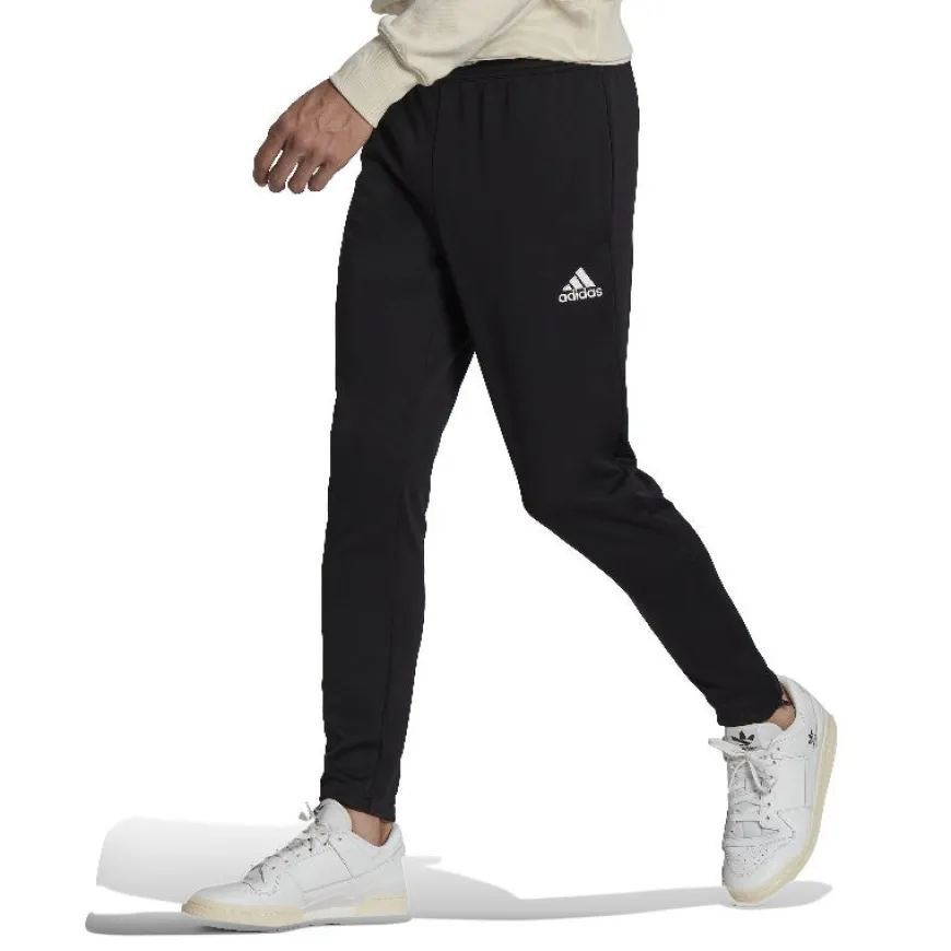 Pantalones Adidas Ent22 Tr Pnt