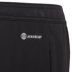 Pantalones Adidas Ent22 Tr Pnt Y