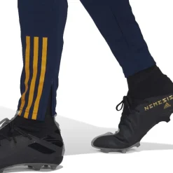 Pantalones Adidas Fef 22 Tr Pnt
