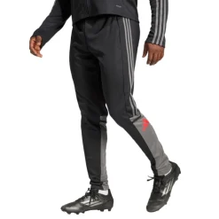 Pantalones Adidas Sq25 Tr Pnt