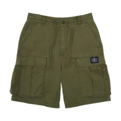 Pantalones bermudas Dc shoes Tundra Cargo Short