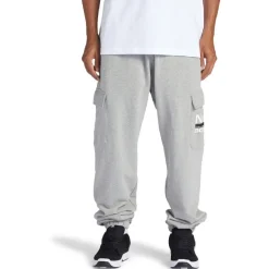 Pantalones chándal Dc shoes HAVOCCARGOSWPNT OTLR KPVH