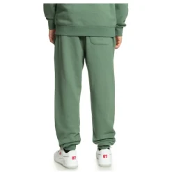 Pantalones chándal Dc shoes SMU In Between Sweatpant