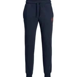 Pantalones chándal Jack & jones Jjigordon Jjshark Sweat Pants At Noos