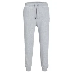 Pantalones chándal Jack & jones Jpstgordon Bradley Sweat Pant Noos