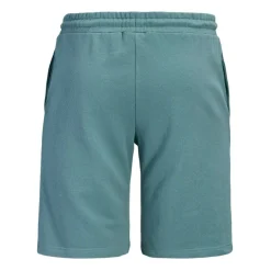 Pantalones cortos Jack & jones Jpstgordon College Sweat Shorts Mid