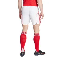 Pantalones oficiales fútbol Adidas Afc H Sho