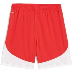 Pantalones Puma GFC Shorts Replica J