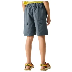 Pantalones Regatta SorcerShortsIII