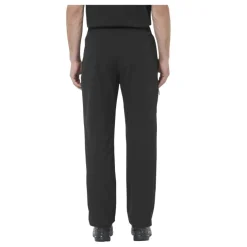 Pantalones Salomon Wayfarer Pants 2.0 M