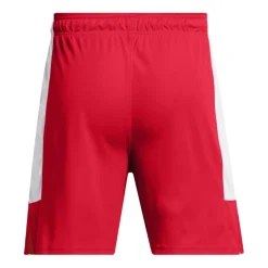 Pantalones Under armour UA Baseline Short