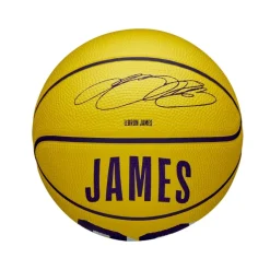 Pelotas Wilson Nba Player Icon Mini Bskt Lebron New 3