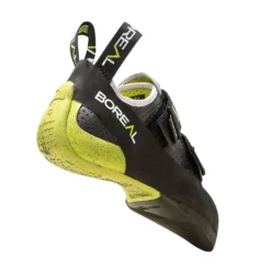 Pies de gato Boreal ALPHA