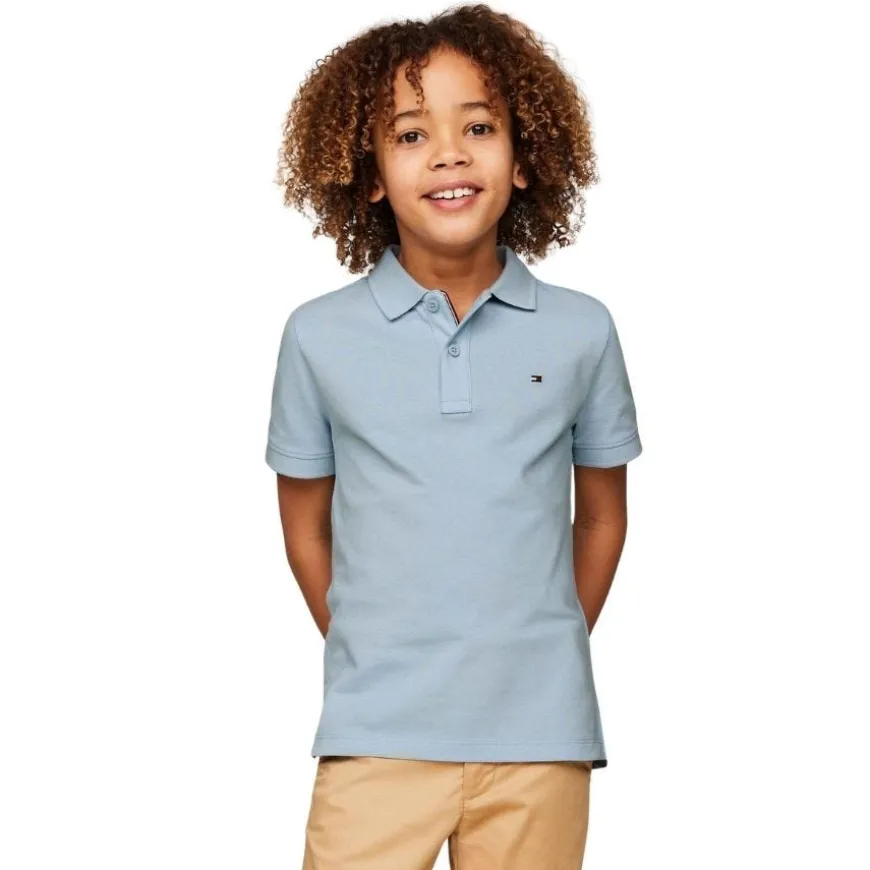 Polos Tommy hilfiger Flag Polo Ss