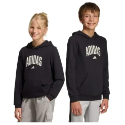 Sudaderas Adidas J Colleg Hd