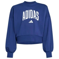 Sudaderas Adidas Jg Clgt Ft Swt