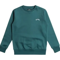 Sudaderas Billabong Arch Cr