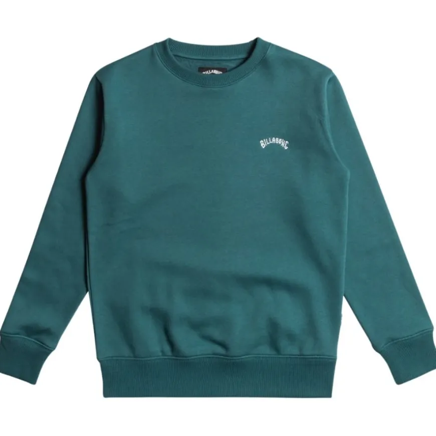 Sudaderas Billabong Arch Cr