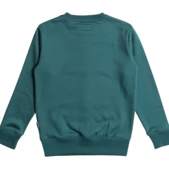 Sudaderas Billabong Arch Cr