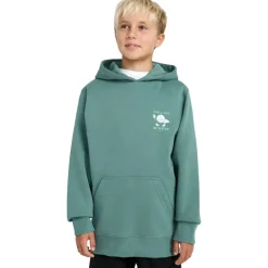 Sudaderas Billabong Foundation Po SMU