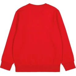 Sudaderas Champion Sudadera cuello redondo BTS