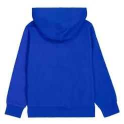 Sudaderas Champion Sudadera con capucha BTS