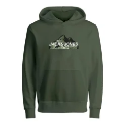 Sudaderas Jack & jones BST Jcomountain Logo Sweat Hood unb Sn Jnr