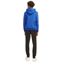 Sudaderas Jack & jones Jcomountain Logo Sweat Hood Sn Jnr
