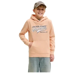 Sudaderas Jack & jones Jjelogo Sweat Hood 2 Col 25 26 Noos Jnr