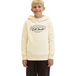 Sudaderas Jack & jones Jjmakoto Sweat Hood Jnr