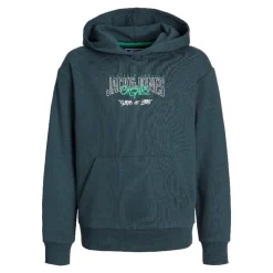 Sudaderas Jack & jones Jortribeca Logo Sweat Hood Jnr