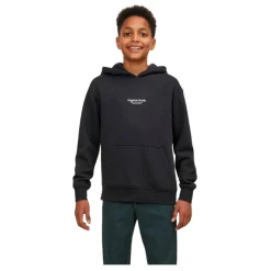 Sudaderas Jack & jones N.U. Jorvesterbro Sweat Hood Noos Jnr