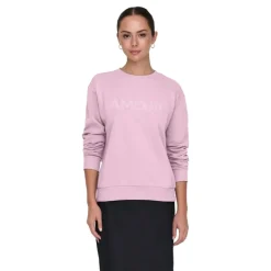 Sudaderas Jdy Jdyparis L S Emb Sweat Jrs