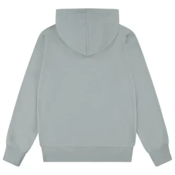 Sudaderas Levis kids Lvb Mini Batwing Pull Over Hoo