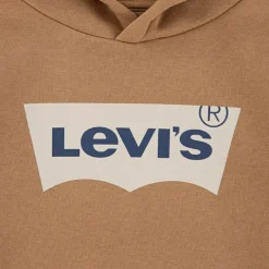 Sudaderas Levis kids Lvb Batwing Screenprint Hoodie