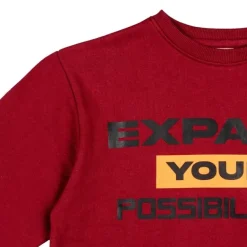 Sudaderas Lsn Sweat Fleece