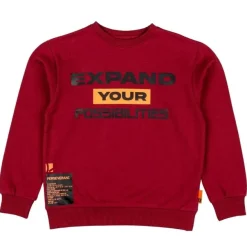 Sudaderas Lsn Sweat Fleece
