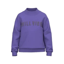 Sudaderas Name-it Nkfnatasja Ls Swe Bru Pb
