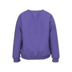 Sudaderas Name-it Nmfrodja Ls Swe Bru Pb